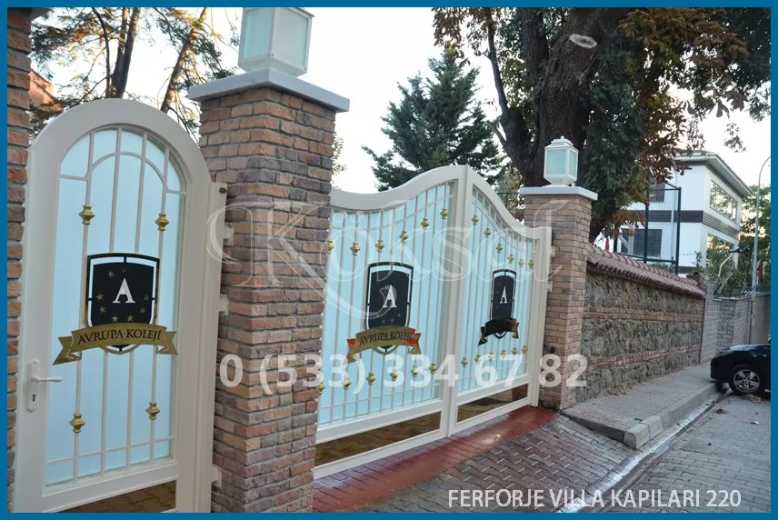 Ferforje Villa Kapıları 220